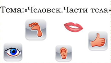 Лексическая тема " Человек. Части тела" Лексическая тема " Человек. Части тела".
