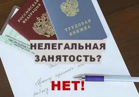 Нелегальная занятость Нелегальная занятость.