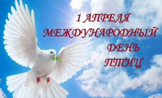 Международный день птиц Международный день птиц.